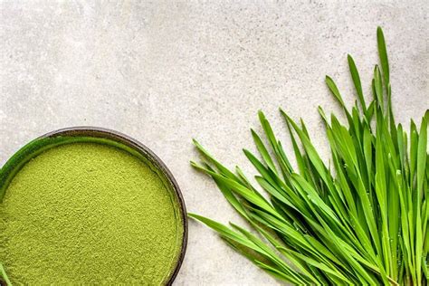 Spirulina l alga magica A cosa serve proprietà benefici Capelli