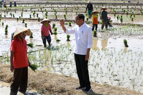 PETANI DIDORONG SEGERA TANAM PADI BLORANEWS