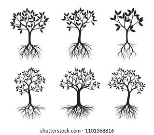 Set Black Trees Roots Vector Illustration Stock Vector Royalty Free