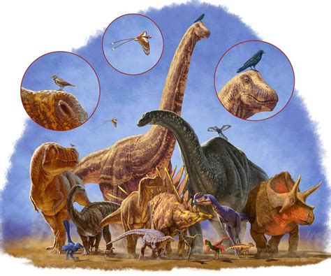 La Evoluci N De Los Dinosaurios Origen Y Clasificaci N