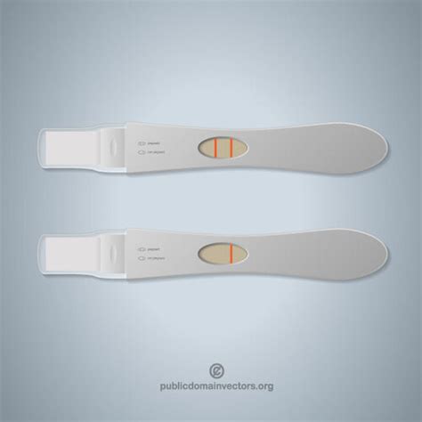 Pregnancy Test Vector Image Public Domain Vectors