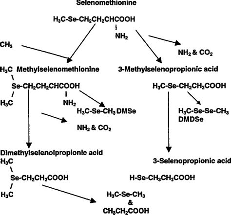 Figure From Chapter Soil Methylation Demethylation Pathways For