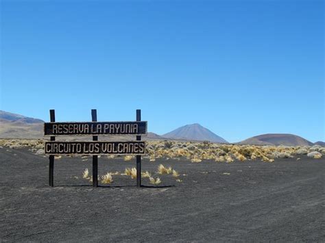 La Payunia Una De Las Regiones Del Planeta Con Mayor Densidad De