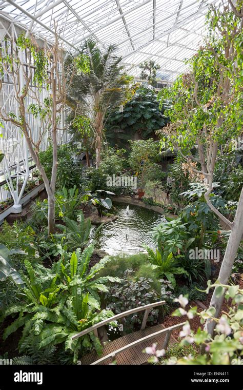 Barbican conservatory inside the Barbican Centre, London, England Stock Photo - Alamy