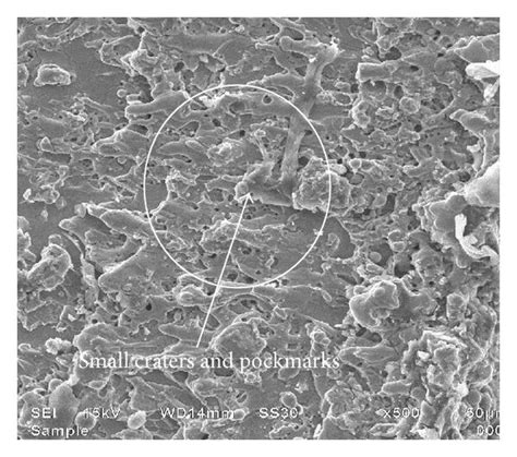 Sem Micrograph 1000x 2000x 3000x And 500x A Experiment No 1 Download Scientific