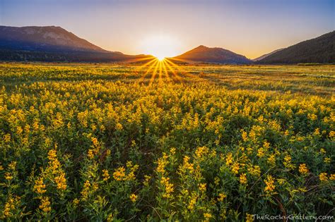 Shaping Up To Be A Banner Year For Rmnp Thomas Mangan Photography