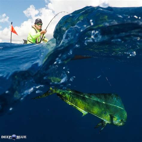 DEEP BLUE Kayak Fishing Charters - South Florida