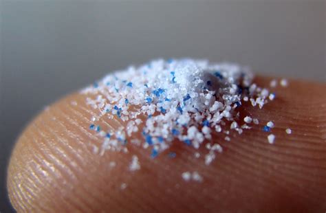 18 Best Facts About Microplastics Facts Net