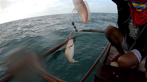 Bisugo Fishing In Philippines Youtube