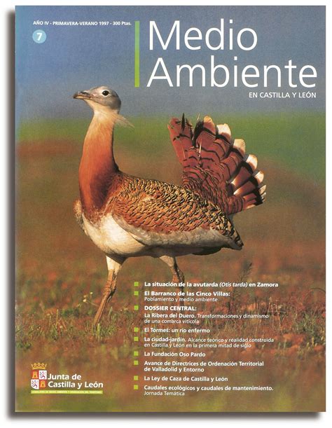 REVISTA MEDIO AMBIENTE CASTILLA Y LEON JAVIER REINHARDJAVIER REINHARD