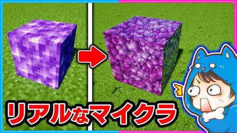 すべてがリアルすぎるマインクラフトをやってみた結果！？ 【マイクラまいくら】 Minecraft Summary マイクラ動画