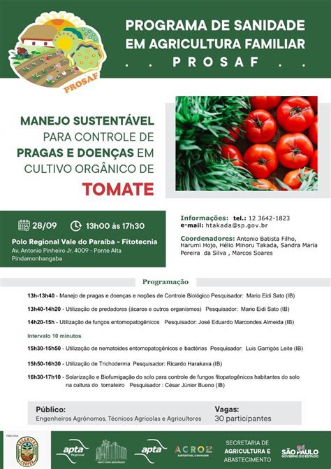 Cultivo de tomate orgânico será tema de treinamento do Instituto