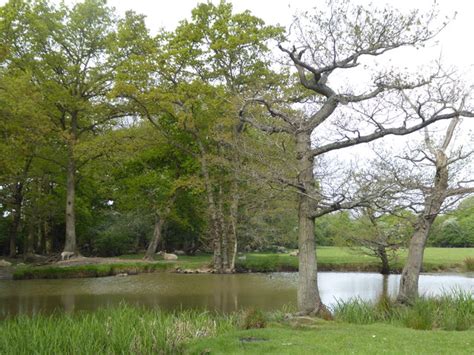 Pond Near Edenbridge Marathon Cc By Sa 2 0 Geograph Britain And