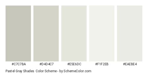 Pastel Gray Shades Color Scheme Gray