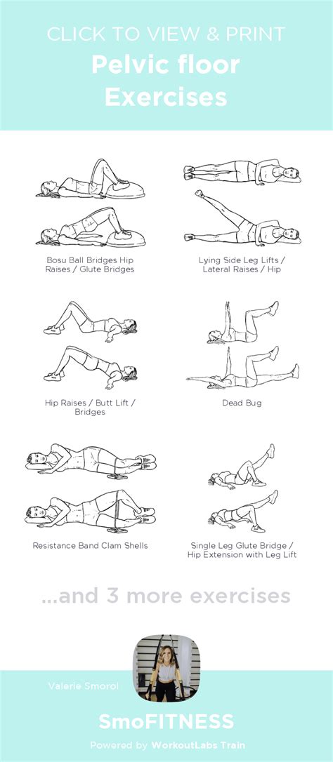 Printable Seated Pelvic Floor Exercises