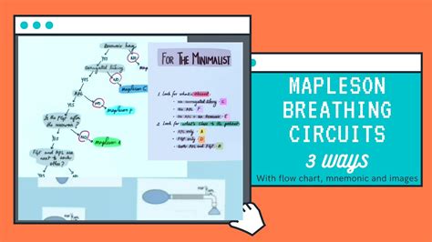 Mapleson Circuits Made Easy Mapleson Breathing Circuits Learn With Flow