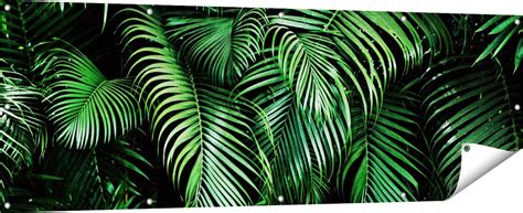 Gards Tuinposter Tropische Palm Bladeren Groen X Cm Tuindoek