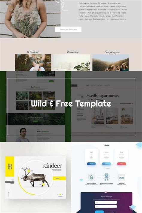 Web Layout Wild & Free Template | Web layout, Website template, Website ...