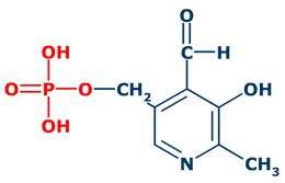 Vitamina B6 Y Fosfato De Piridoxal GMEIN UIB