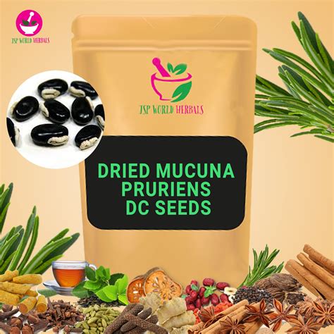 Dried Mucuna pruriens DC Seeds | Management of male infertility | 100% ...