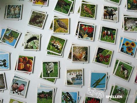 Natuur Memory Een Spel Van Ravensburger Kopen Spellen Expert