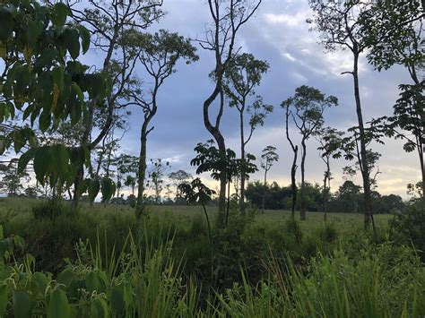 Colombia's varied geography : r/geography