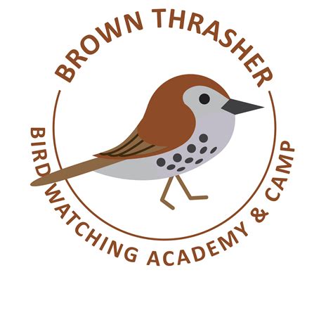 Brown Thrasher - Bird Watching Academy