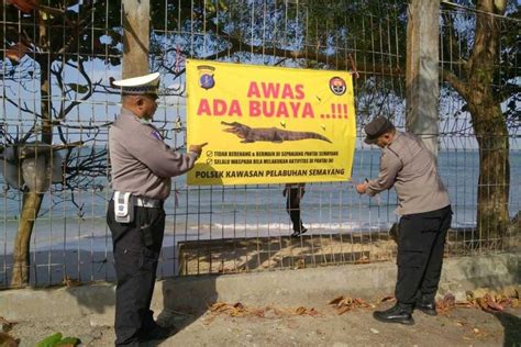 Awas Ada Buaya Di Pantai Semayang Balikpapan