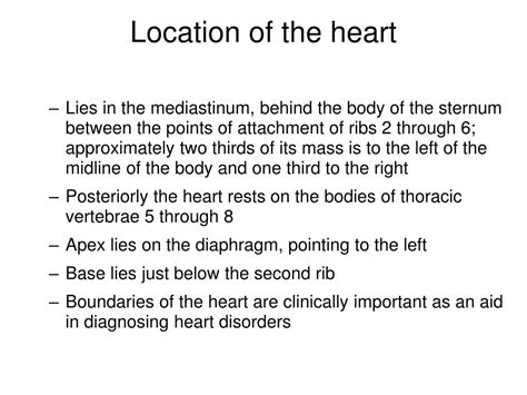 Ppt Chapter Anatomy Of The Cardiovascular System Powerpoint