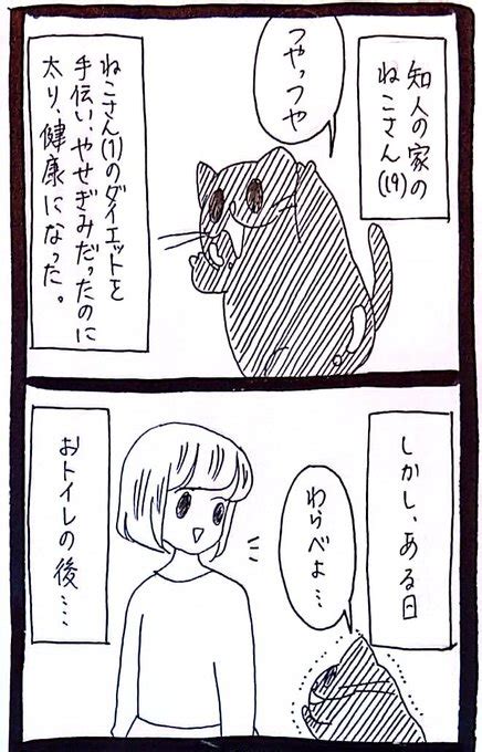 2023年01月28日のツイート うさぎのみみちゃん さんのマンガ ツイコミ仮