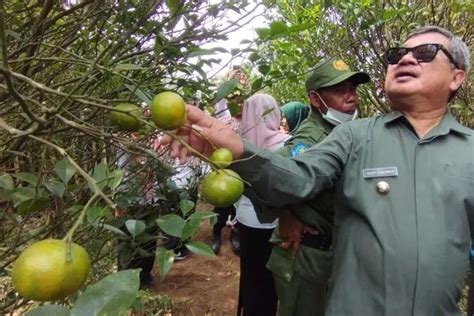 Pelestarian Dorong Perekonomian Masyarakat Pemkab Garut Terus Majukan