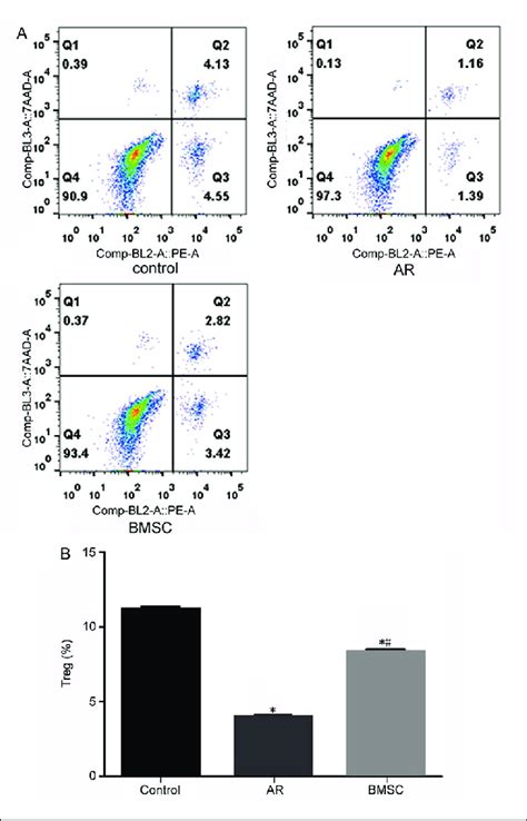 The Effect Of Bmsc Targeted Therapy On The Level Of Il 17 γδ T In Ar