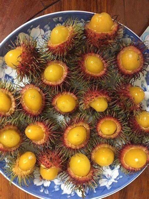 Cơn sốt đang lan rộng với loại chôm chôm ruột vàng siêu hot Bài viết Mytour