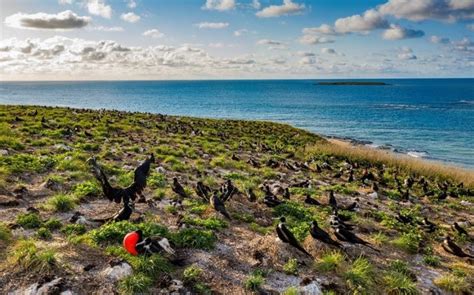 National Geographic anuncia programação especial para o Dia da Terra