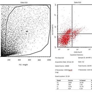 Flowcytometry of GATA 4 in the negative control group α MEM From the