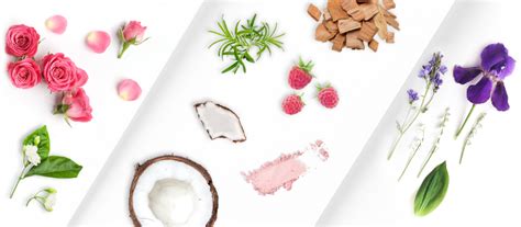 Find fragrances based on notes | Perfume ingredients | notino.co.uk