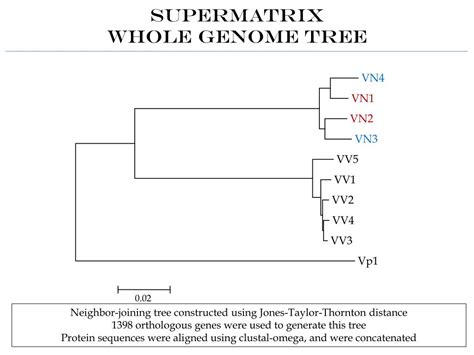 PPT Comparative Genomics Preliminary Results PowerPoint Presentation