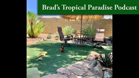 Brad S Tropical Paradise Podcast 10 How And Why To Create A