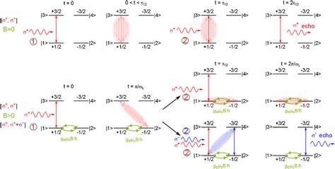 Color Online Schematic Representation Of Photon Echo In The