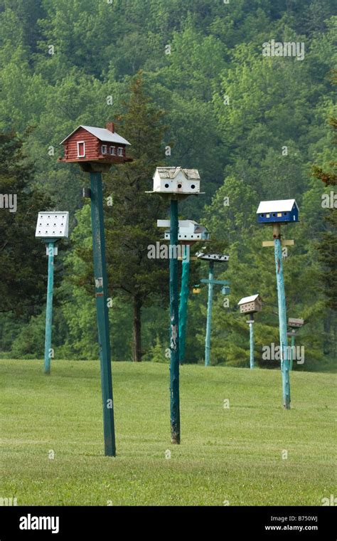 Birdhouses on poles Stock Photo - Alamy