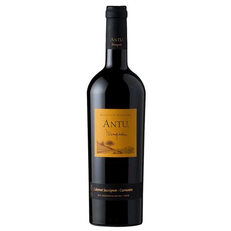 Vinho Montgras Antu Cabernet Sauvignon Tinto 750Ml Submarino