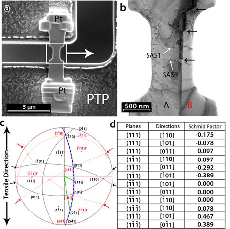 Sample Preparation For Quantitative In Situ TEM Tensile Testing A SEM