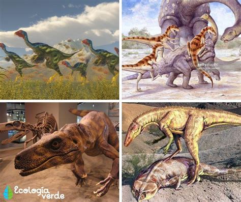 Dinosaurios CarnÍvoros Nombres Tipos Características E Imágenes