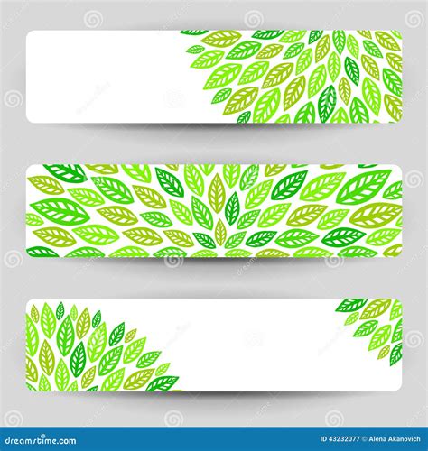 Three Banners With Green Leaves Stock Vector Illustration Of Green