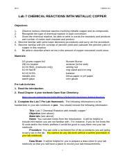 CHEM 103 Lab 7 Reactions Of Copper Docx HCC CHEM 103 Lab 7 CHEMICAL