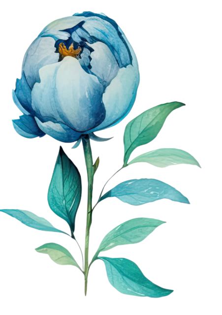 Cliparts from Anna-2: Blue peonies. Голубые пионы. PNG.