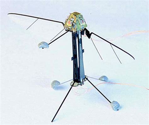 Building Flying Robot Swarms | Harvard Magazine