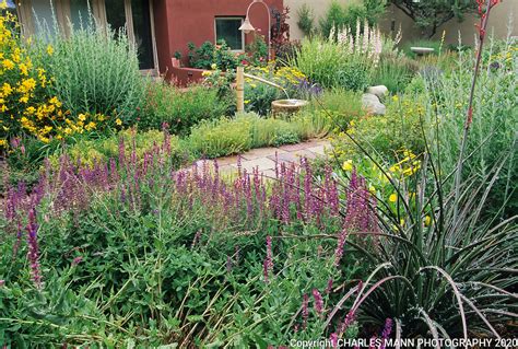 Xeriscape Beverley Armstrong Design By Carlotta From Paradise Santa Fe