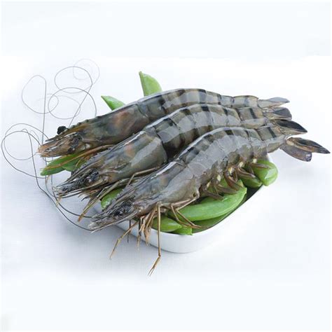 Black Tiger Prawns – Lui Foods Fish Store