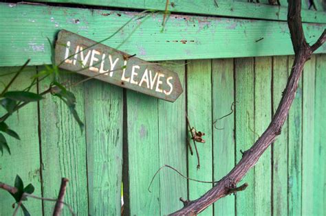 Free Images Branch Fence Wood Wall Sign Green Leaves Raw